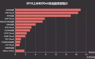 【网络安全】揭秘2025年网络安全攻防战：关键词解析与应用实践