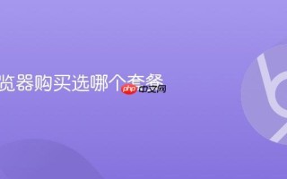 紫鸟浏览器购买选哪个套餐