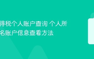 个人所得税个人账户查询 个人所得税实名账户信息查看方法