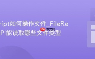 javascript如何操作文件_FileReader API能读取哪些文件类型