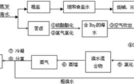 奔跑吧第五季,精彩亮点与感动瞬间-综艺节目深度解析
