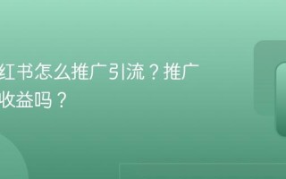 发布小红书怎么推广引流？推广引流有收益吗？