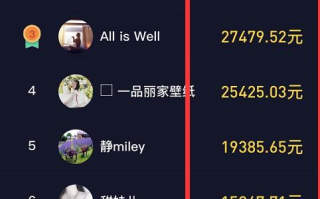 抖音热门视频排行榜解析与创作策略