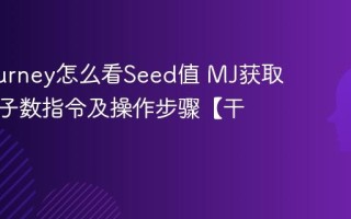 Midjourney怎么看Seed值 MJ获取图片种子数指令及操作步骤【干货】