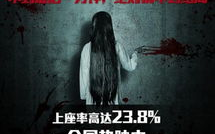 国产恐怖片，探索惊悚背后的故事-创作特点与市场分析