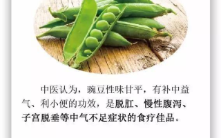豆角网功能特点与优化用户体验解析