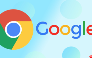 chrome浏览器网页端入口 chrome浏览器网页版官方访问