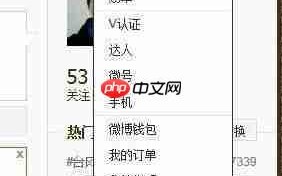 如何在博客添加微博秀