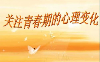 旋风少女，青春励志与武术精神的完美结合-电视剧解析