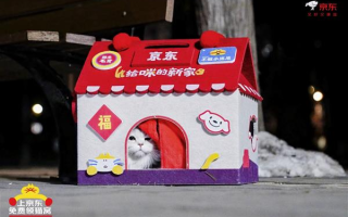京东生活小家电启动“公益猫窝”计划 全国投放10000个温暖猫窝