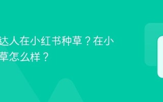 如何请达人在小红书种草？在小红书种草怎么样？