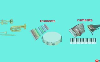探索音乐的奥秘：100种乐器及其声音的奇妙世界