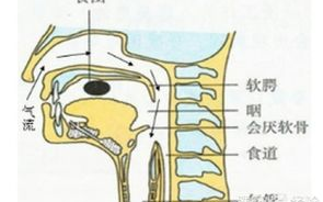 宝宝半夜发烧怎么办，有效退烧策略解析