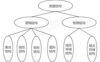 我的仨妈俩爸：多元家庭结构的挑战与和谐之道
