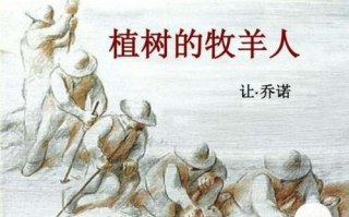 火影忍者女性角色正能量，成就不一样的忍者世界-角色特质解析