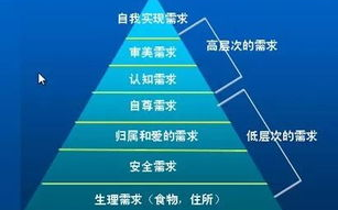 芭蕉视频app无限次数观看体验优化方案解析