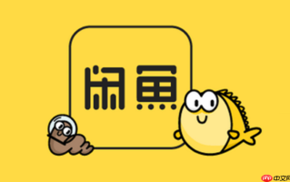 闲鱼网页版可以聊天吗