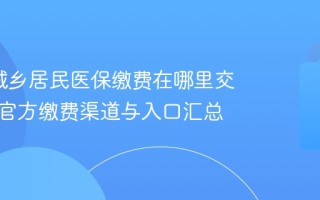 2026城乡居民医保缴费在哪里交 各地区官方缴费渠道与入口汇总