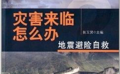 10部顶级灾难片高分电影-震撼心灵的电影佳作