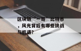 区块链“一哥”比特币，风光背后有哪些挑战与机遇？