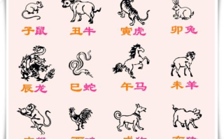 十二生肖年龄表,传统文化与现代应用解析