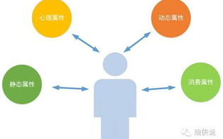 动漫网站优化策略,提升用户体验-高质量内容解析