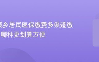 2026城乡居民医保缴费多渠道缴费比较 哪种更划算方便