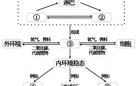 止痛药效果对比与选择指南-常见止痛药解析