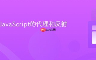 什么是JavaScript的代理和反射？