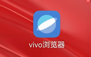 vivo浏览器怎么看网页的桌面版 vivo浏览器强制请求PC版网站的方法