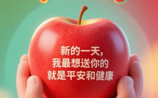 CCTV5+今日节目表,实时更新-体育赛事直播安排
