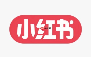 小红书网页版主页 小红书官网直接访问