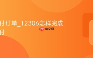 如何支付订单_12306怎样完成票款支付