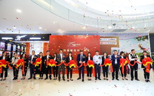 喜盈门家居建材,打造温馨舒适的家-选购与搭配指南