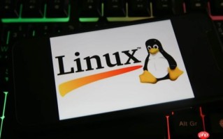 Linux服务如何管理_核心逻辑讲解助你快速掌握【教学】