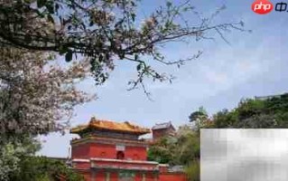 春寒漫步泰山旅游攻略