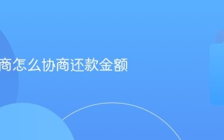 美团协商怎么协商还款金额
