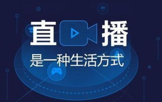 电视频道直播,实时互动体验-直播技术优化解析