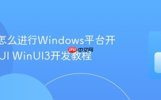 MAUI怎么进行Windows平台开发 MAUI WinUI3开发教程