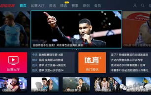人人体育赛事直播,实时高清体育盛宴-观看指南与优势分析