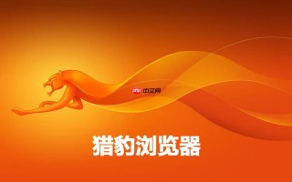 猎豹浏览器如何安装插件 猎豹浏览器扩展中心使用教程【必看】