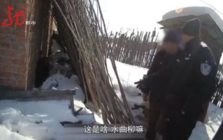 柴火垛里的疯狂55集：揭秘农村神秘事件