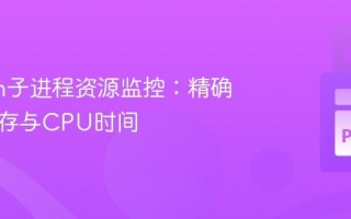 Python子进程资源监控：精确测量内存与CPU时间