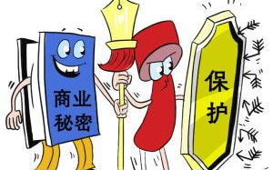 秘密保护策略,信息安全解析-隐私守护之道