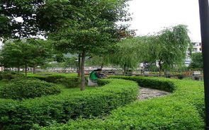 七里香社区在线观看攻略-高效获取社区资源的解决方案