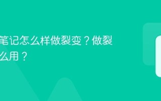 小红书笔记怎么样做裂变？做裂变有什么用？