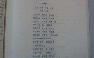 雨蝶歌词解析与情感解读-歌曲魅力剖析