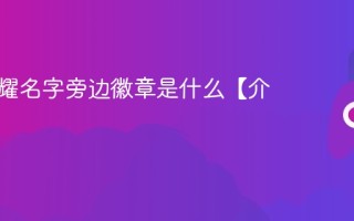 王者荣耀名字旁边徽章是什么【介绍】