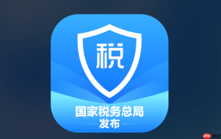 个人所得税网页版登录入口 个人所得税官网申报入口