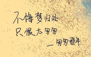 十首经典老歌，唤起记忆中的旋律-音乐情怀回顾